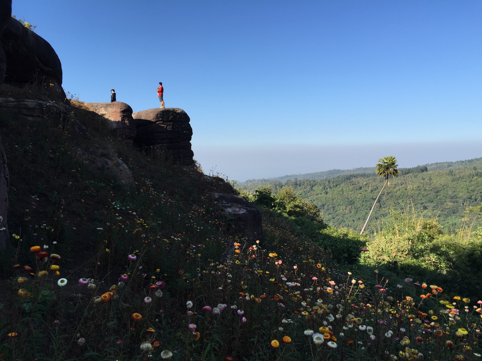 Photo Thaïlande Parc National Phu Hin Rong Kla 2014-12 340