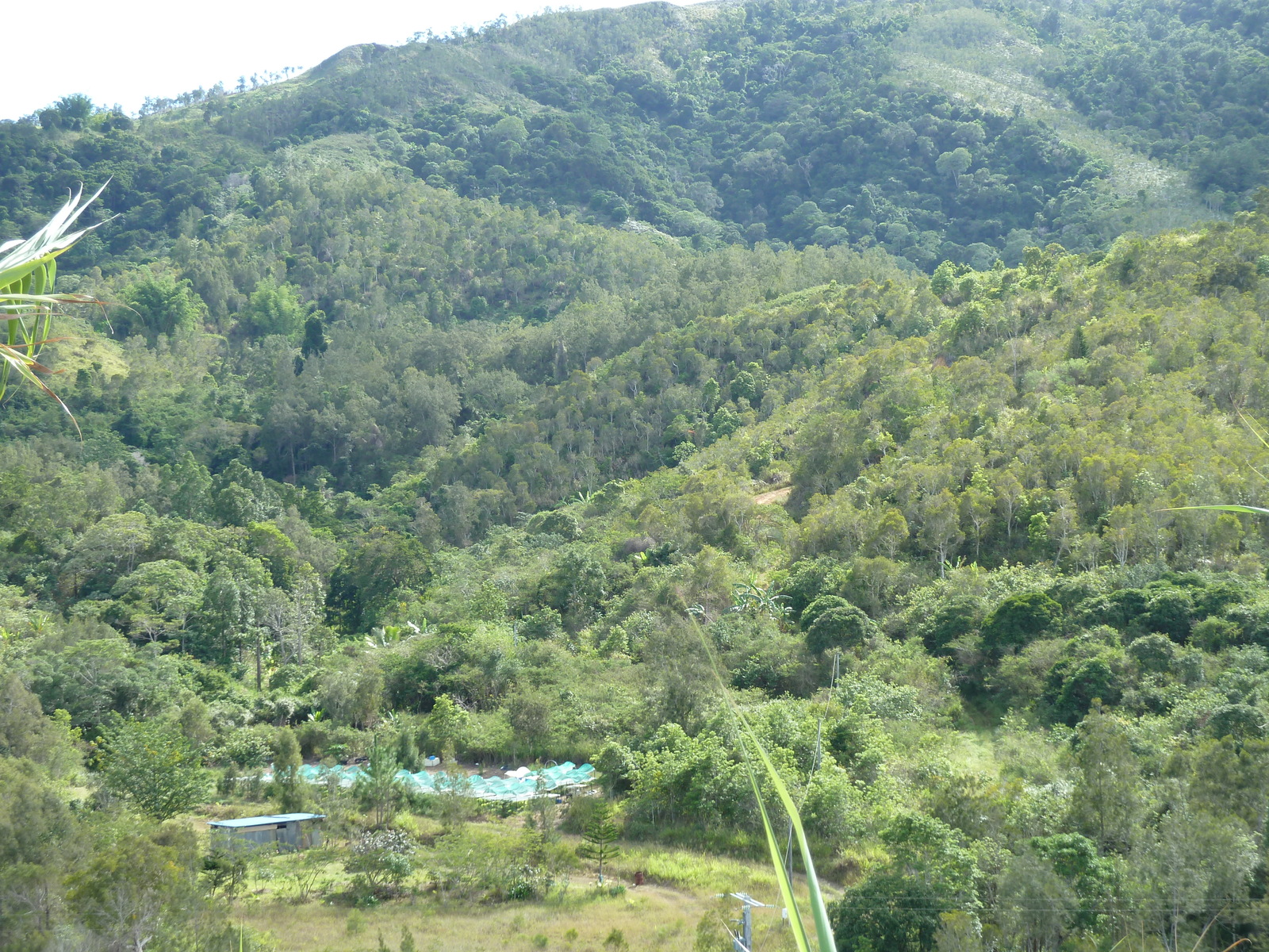 Photo Nouvelle-Calédonie route de Tontouta à Thio 2010-05 33