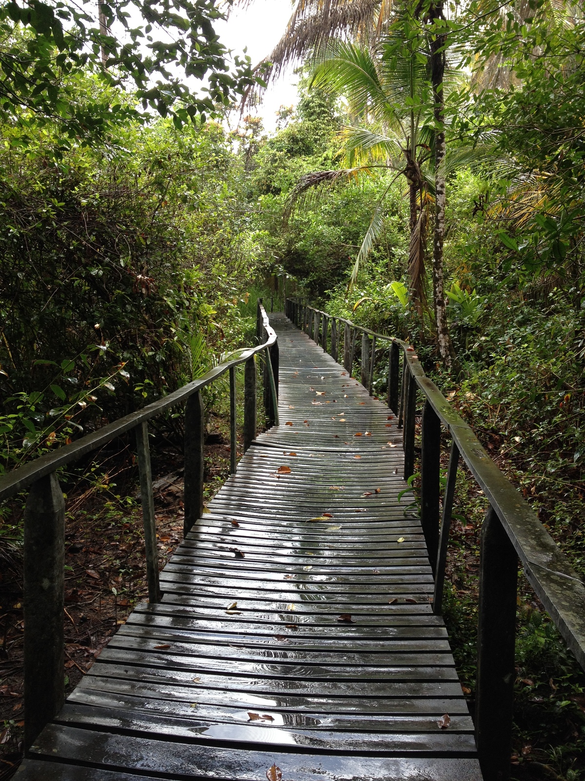 Photo Costa Rica 2015-03 8