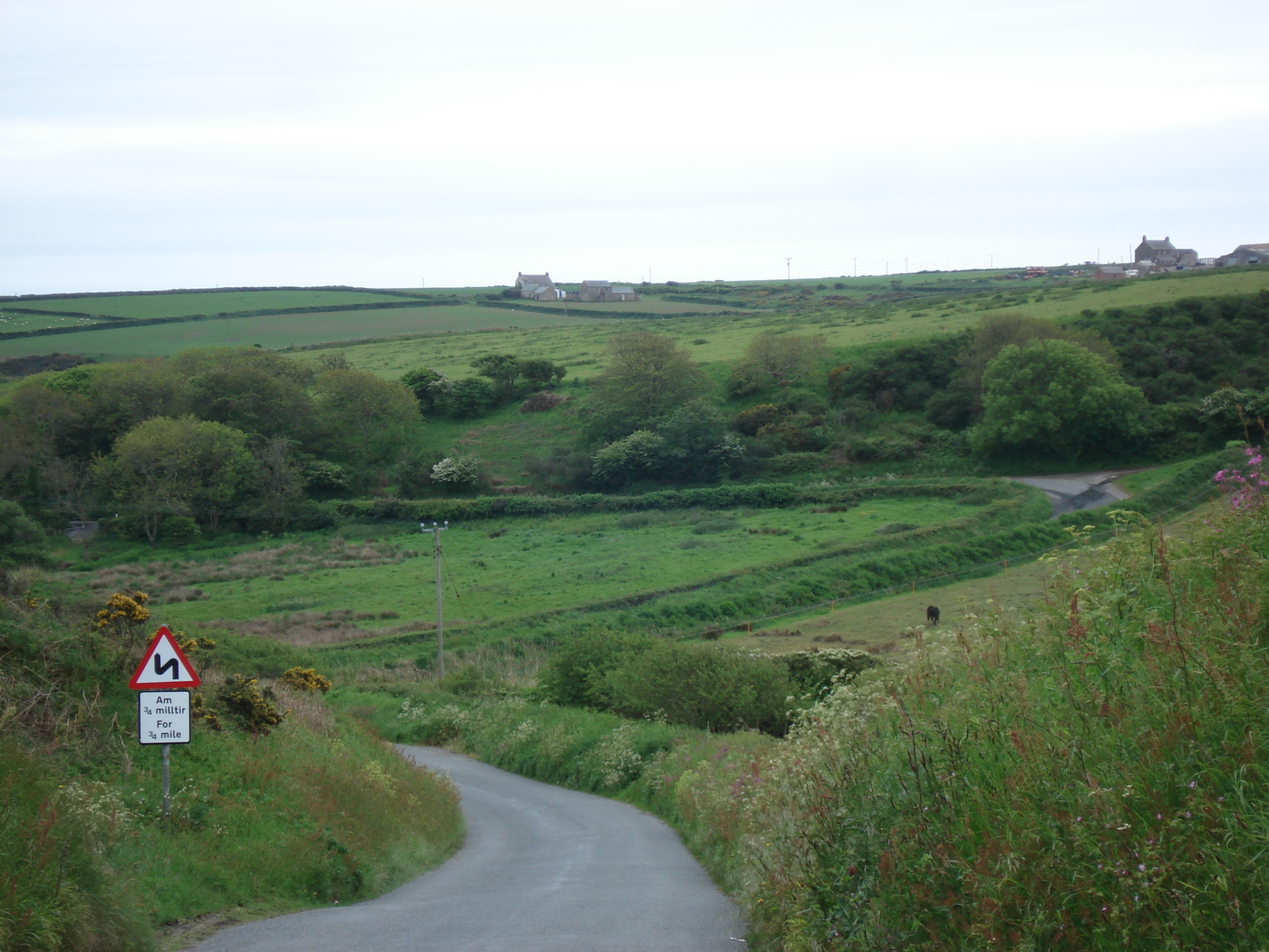 Photo Royaume-Uni Pembrokeshire 2006-05 55