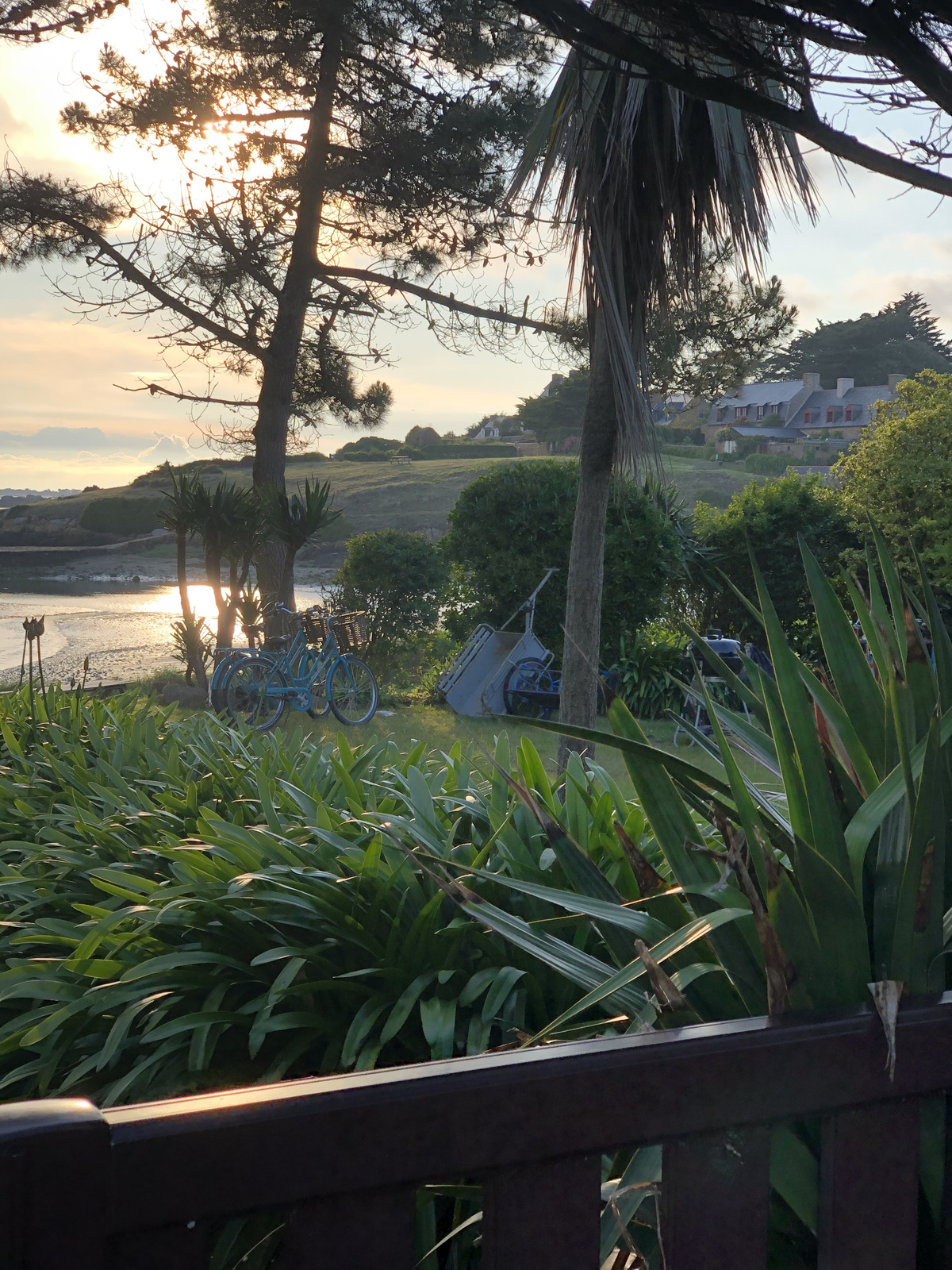 Photo France Île de Bréhat 2020-06 250