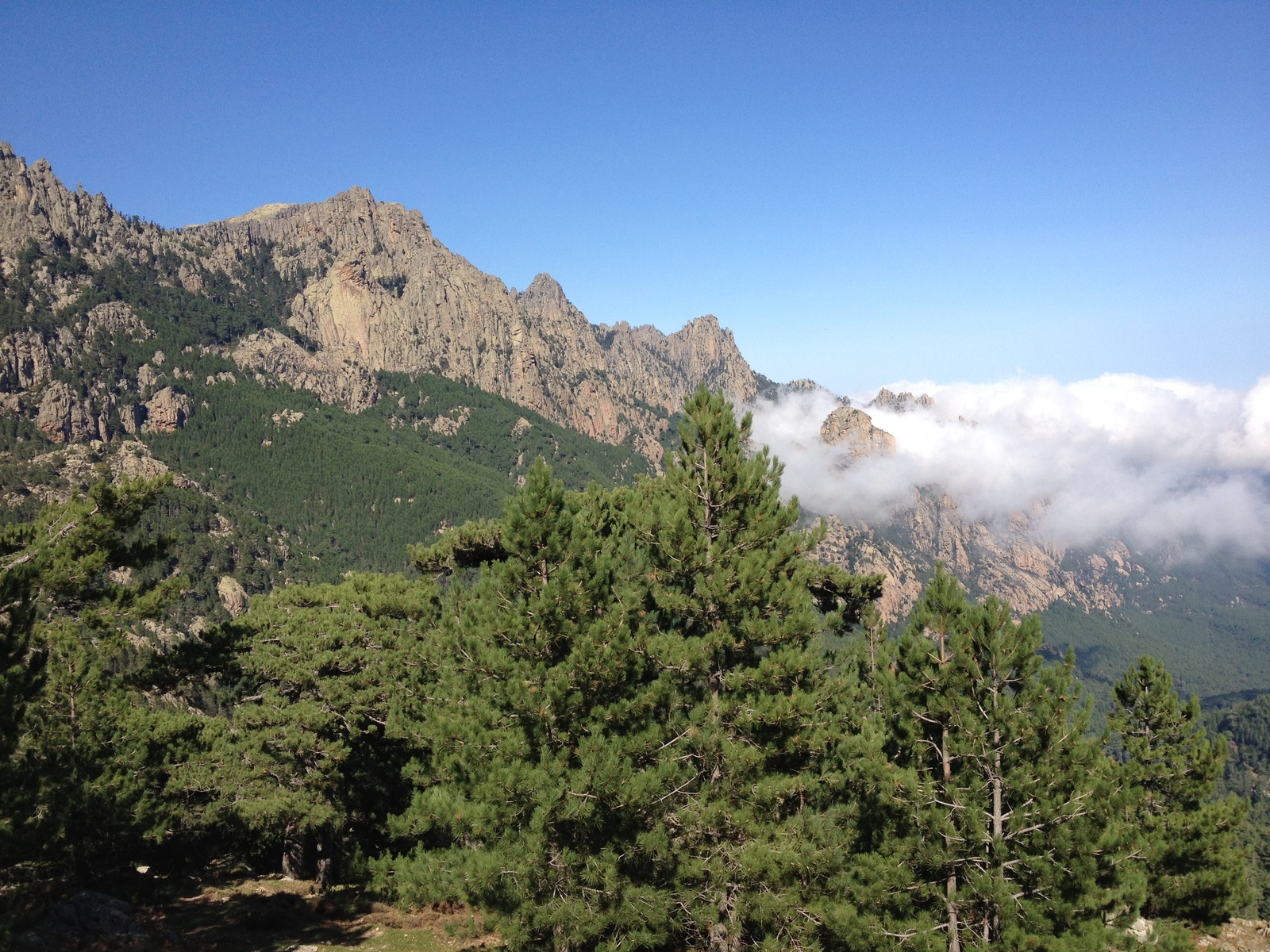 Photo France Corse Bavella 2012-09 71
