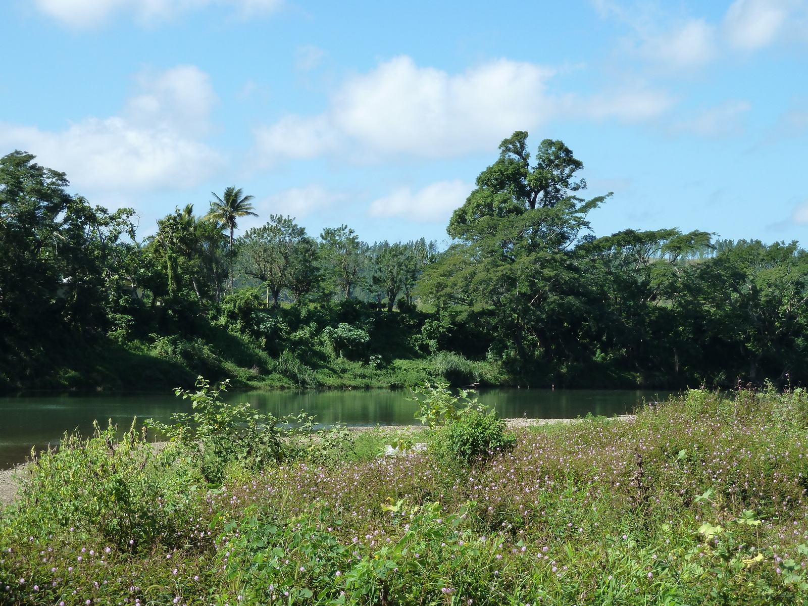 Photo Îles Fidji Rivière Sigatoka 2010-05 32