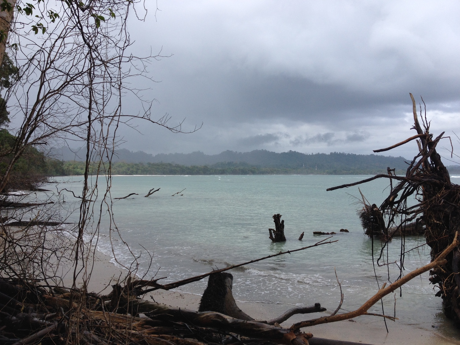 Photo Costa Rica Cahuita 2015-03 241