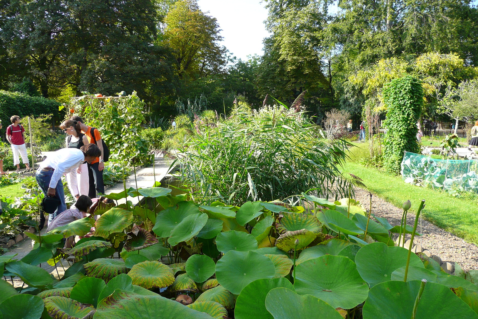 Photo France Paris Jardin des Plantes 2007-08 74