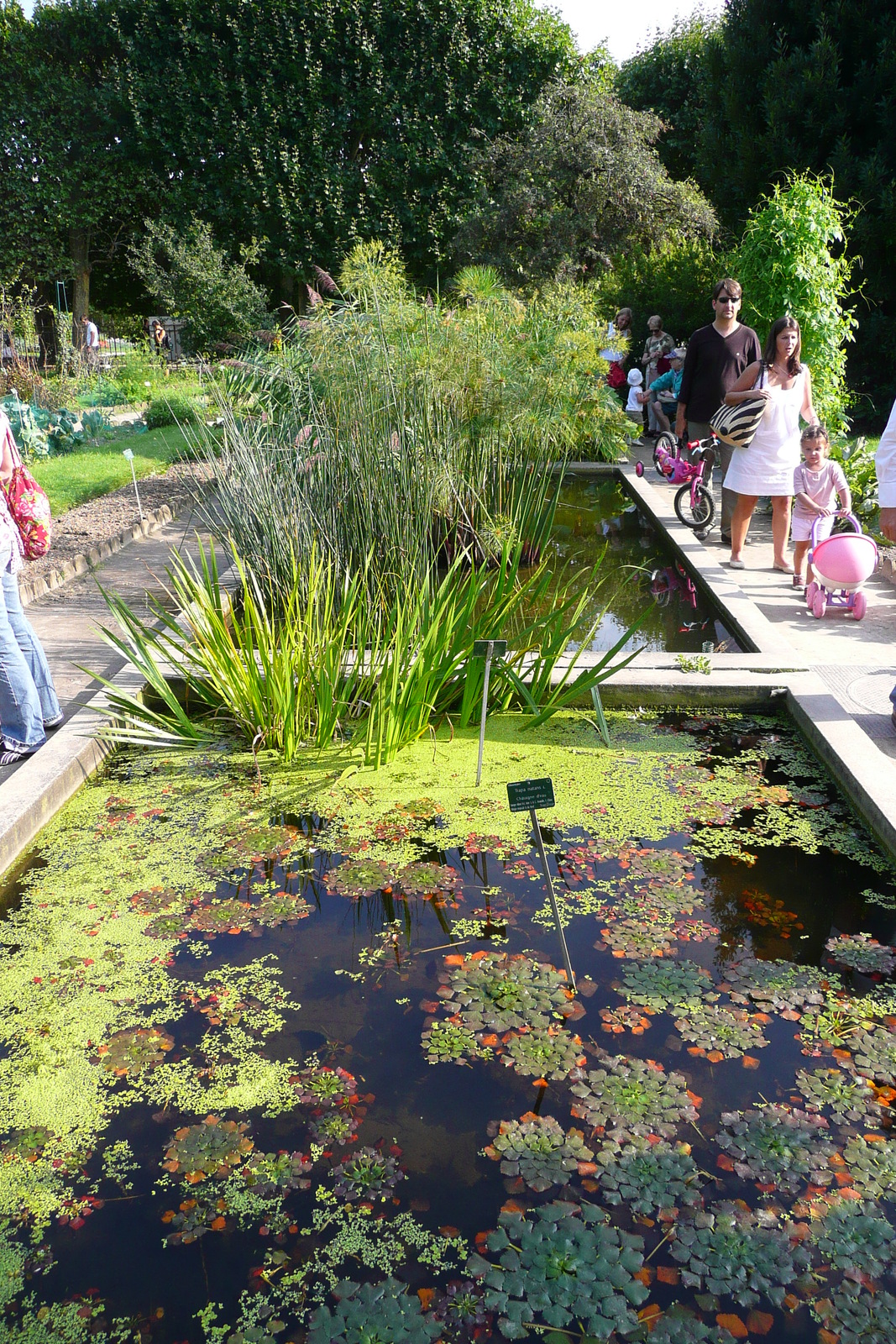 Photo France Paris Jardin des Plantes 2007-08 61