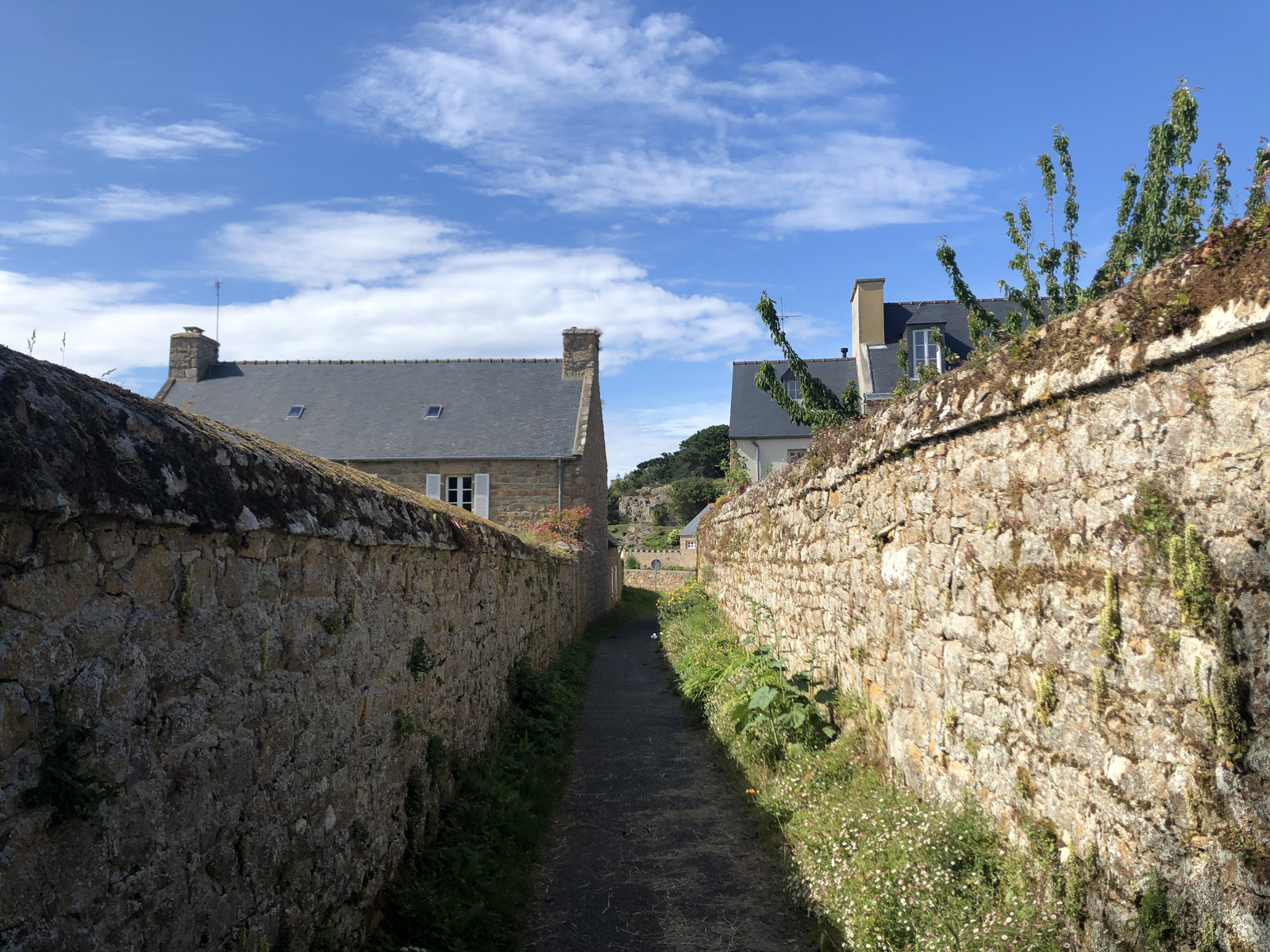 Photo France Île de Bréhat 2020-06 135
