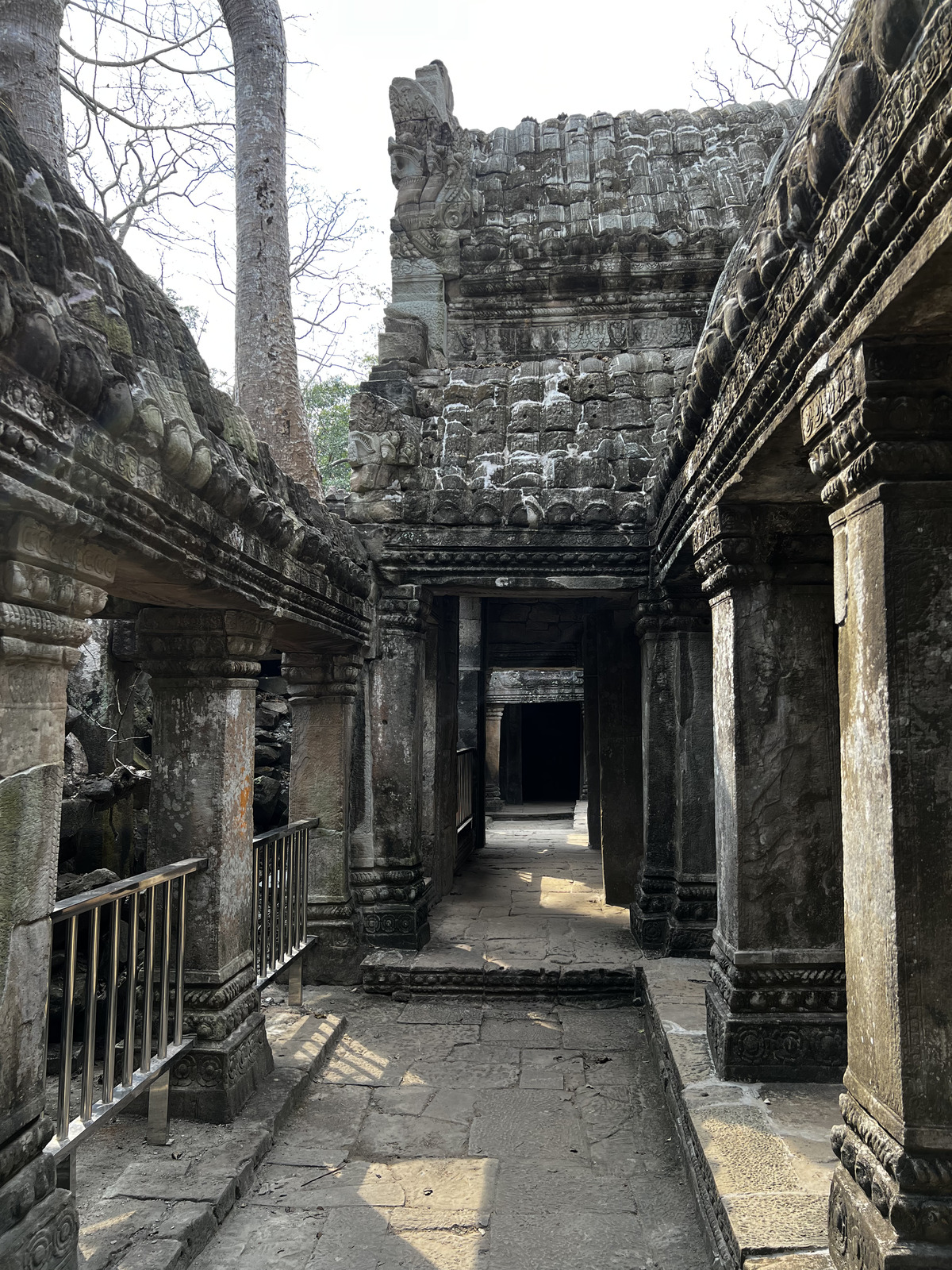 Photo Cambodge Siem Reap Ta Prohm 2023-01 136