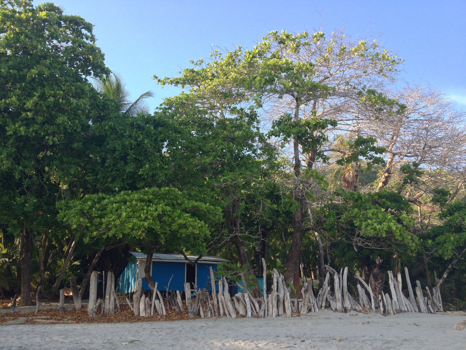 Photo Costa Rica Montezuma 2015-03 515