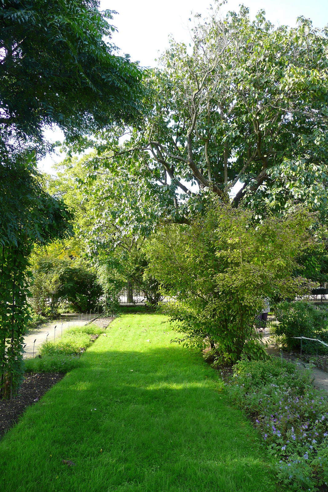 Photo France Paris Jardin des Plantes 2007-08 139