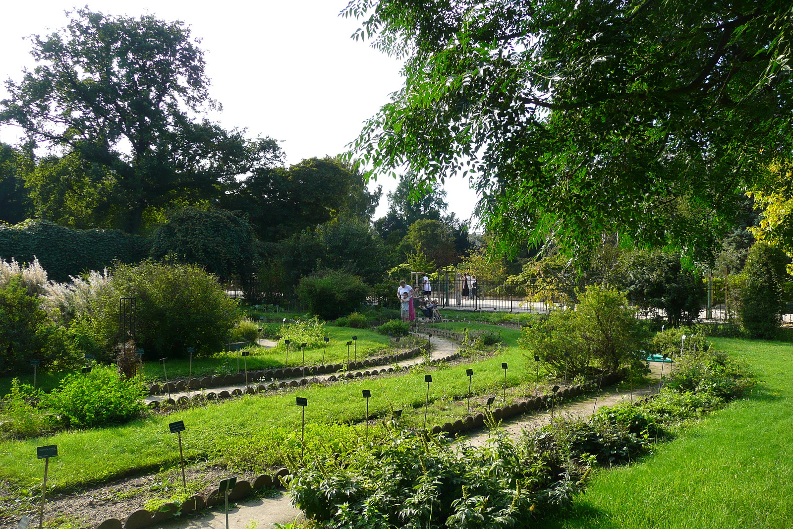 Photo France Paris Jardin des Plantes 2007-08 142