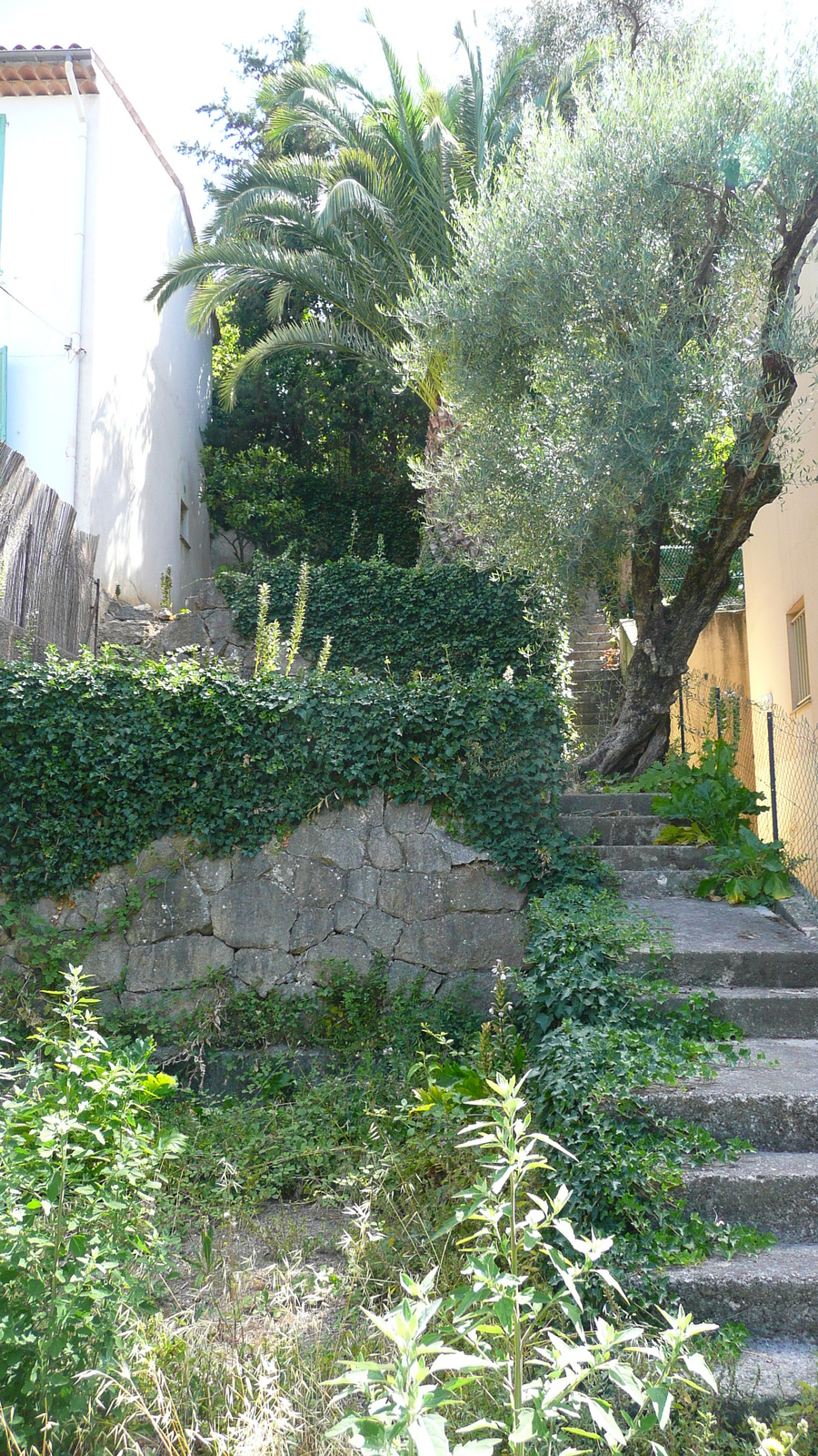 Photo France Vence Vence Ouest 2007-07 75