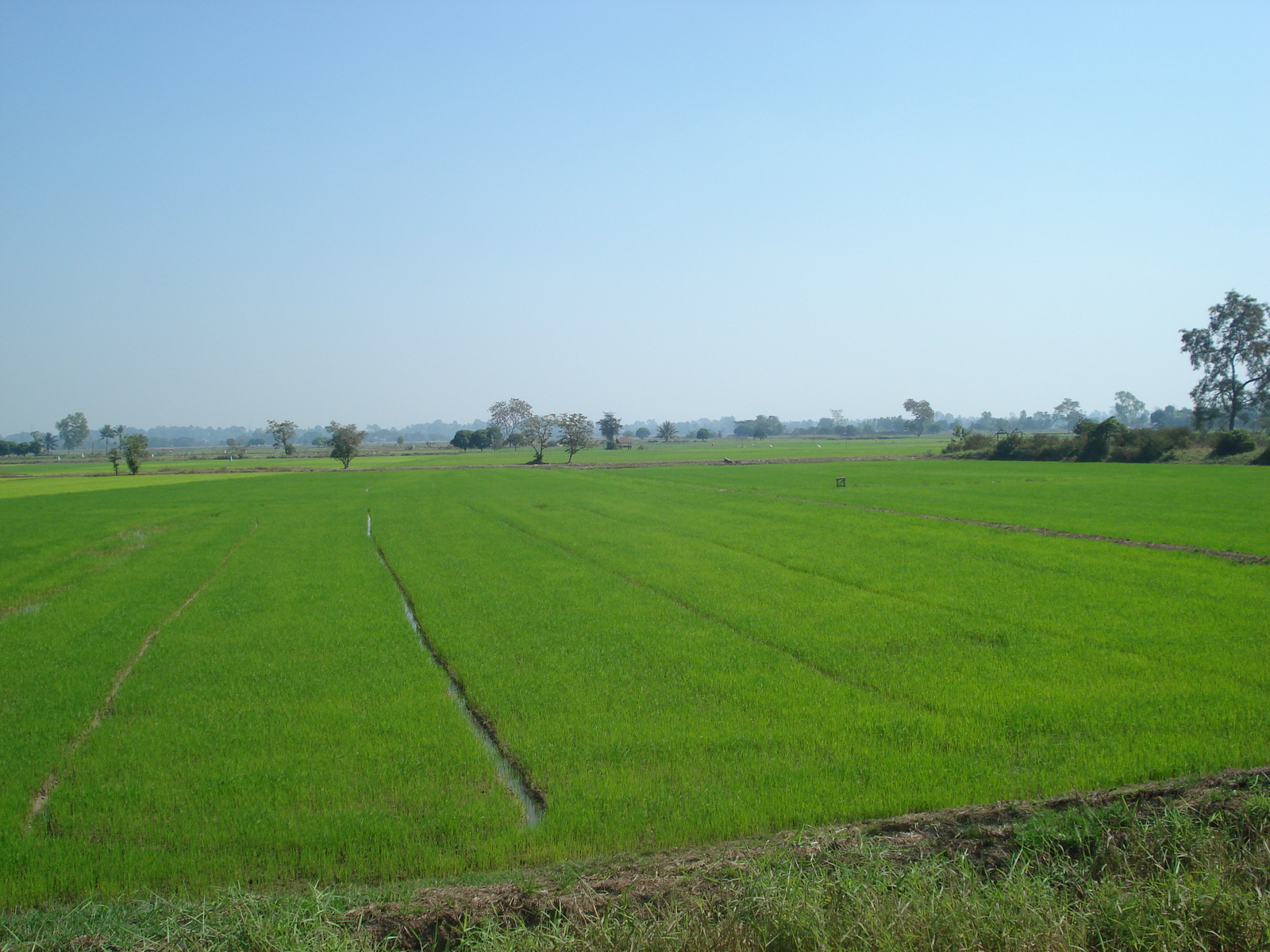 Photo Thaïlande Phitsanulok Rue Singhawat 2008-01 5