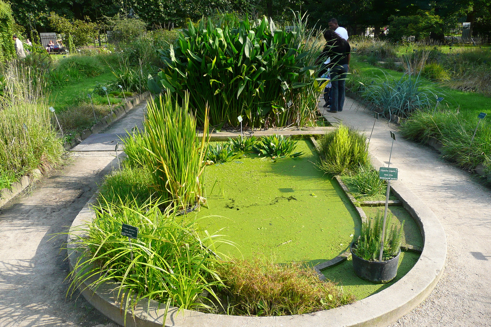 Photo France Paris Jardin des Plantes 2007-08 113