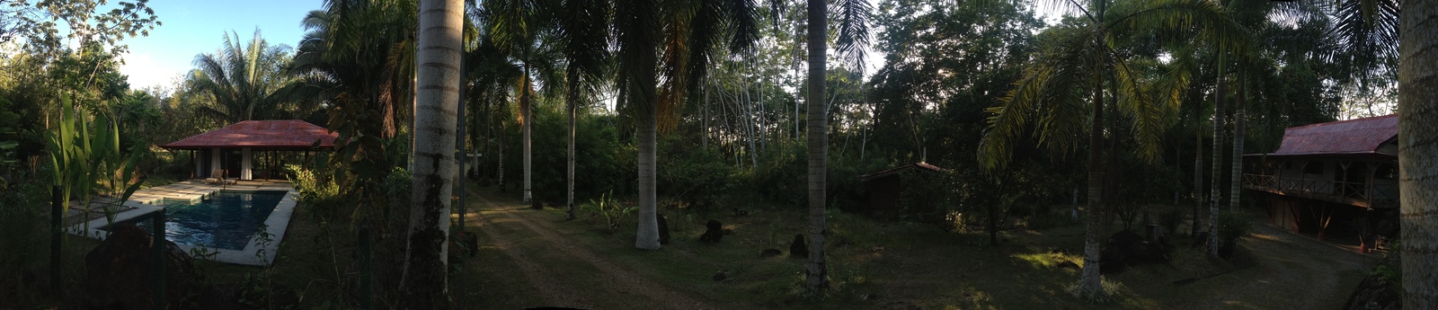 Photo Costa Rica Uvita 2015-03 88