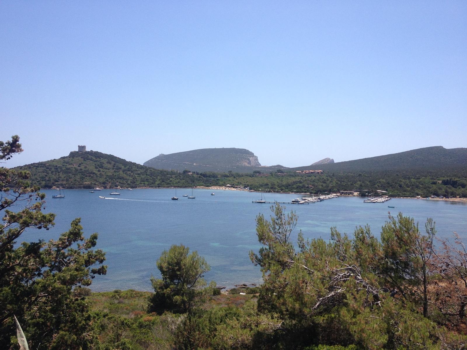 Photo Italie Sardaigne Parc régional de Porto Conte 2015-06 27