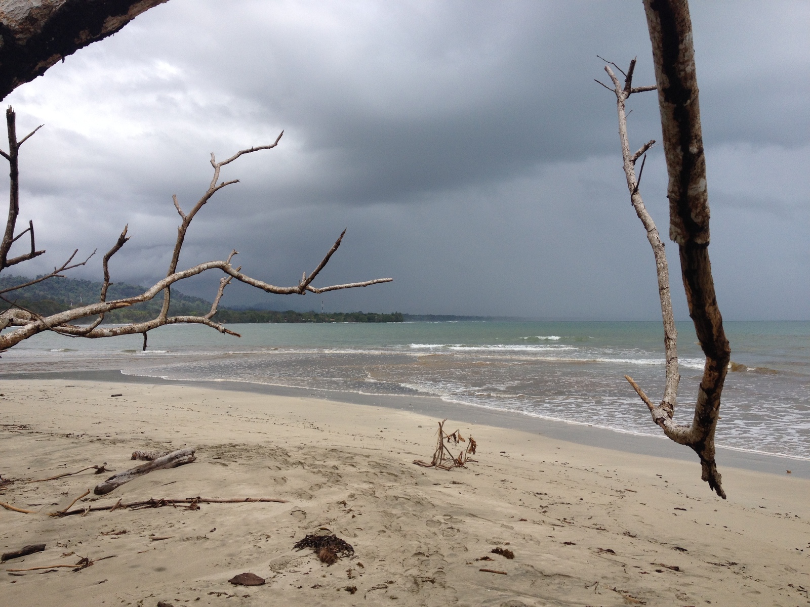Photo Costa Rica Cahuita 2015-03 112