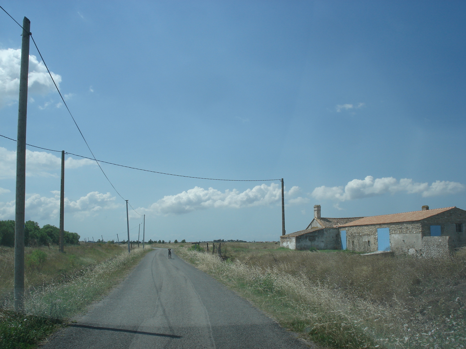 Photo France Vendee 2006-08 0