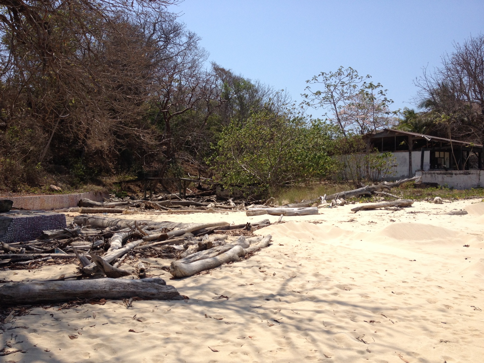 Photo Panama Ile de Contadora 2015-03 150