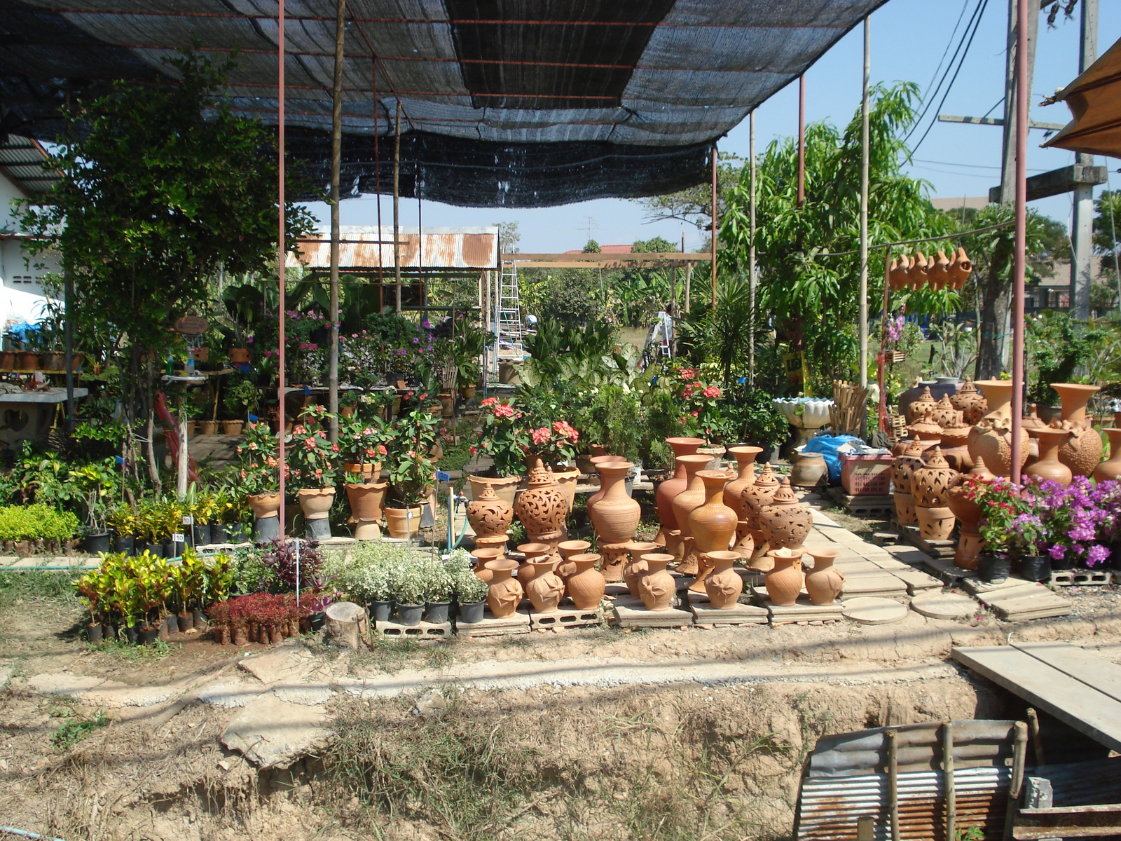 Photo Thaïlande Phitsanulok Rue Singhawat 2008-01 24