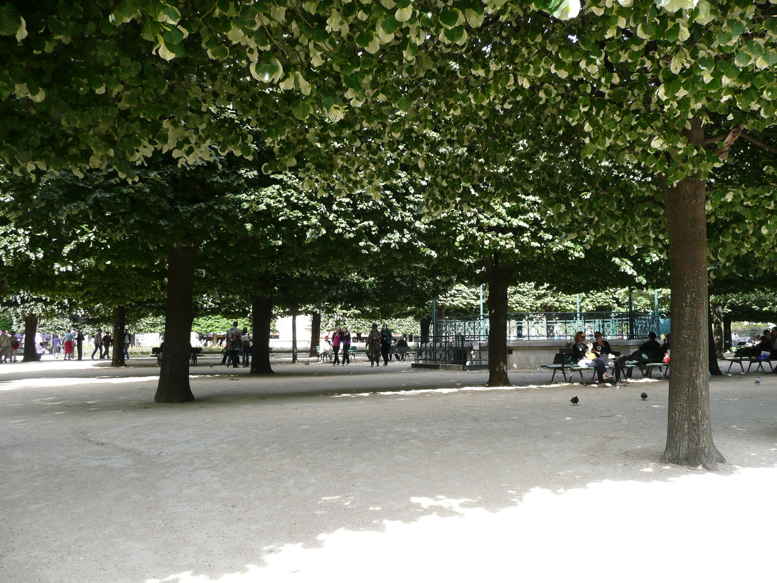 Photo France Paris Notre Dame 2007-05 85
