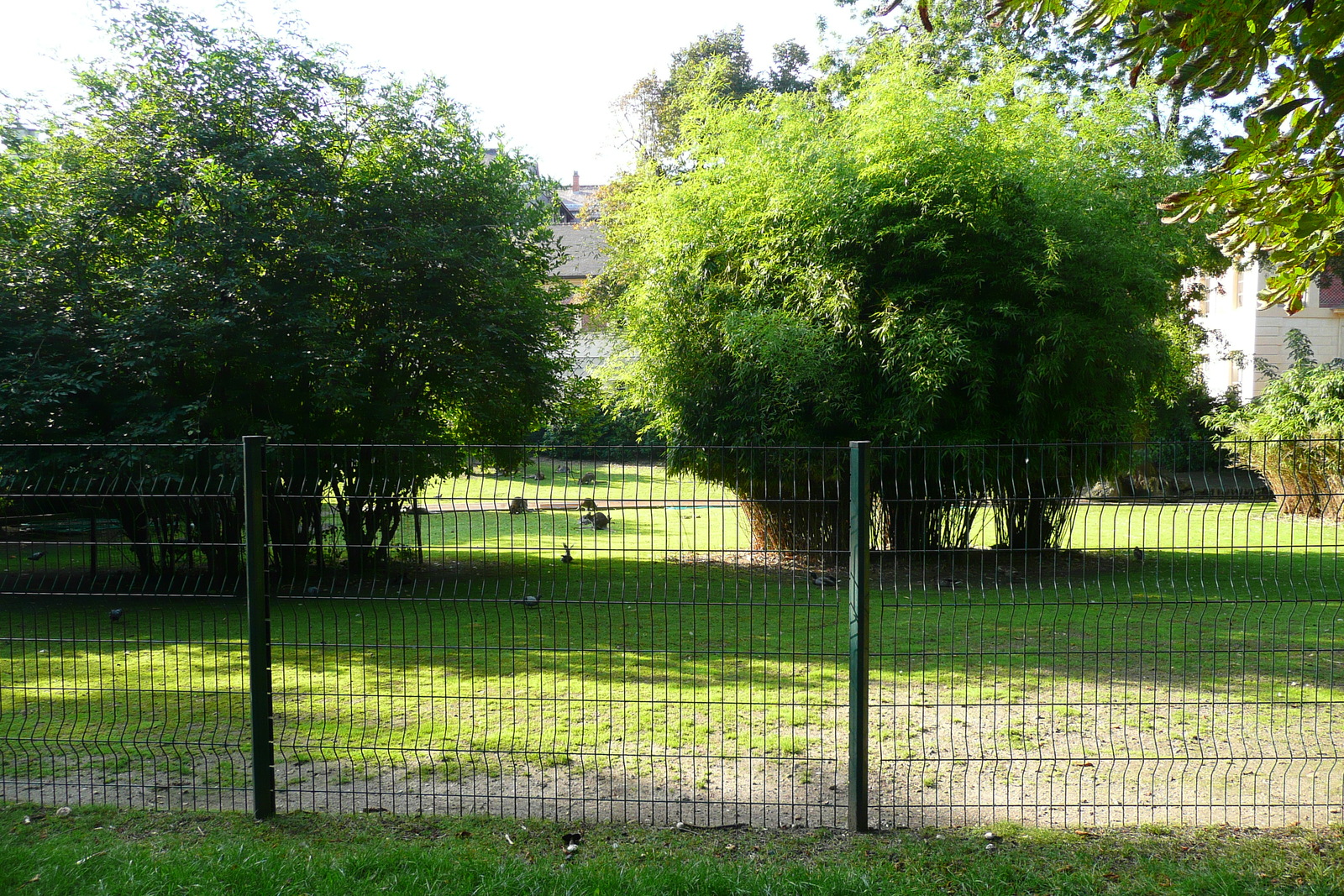 Photo France Paris Jardin des Plantes 2007-08 58