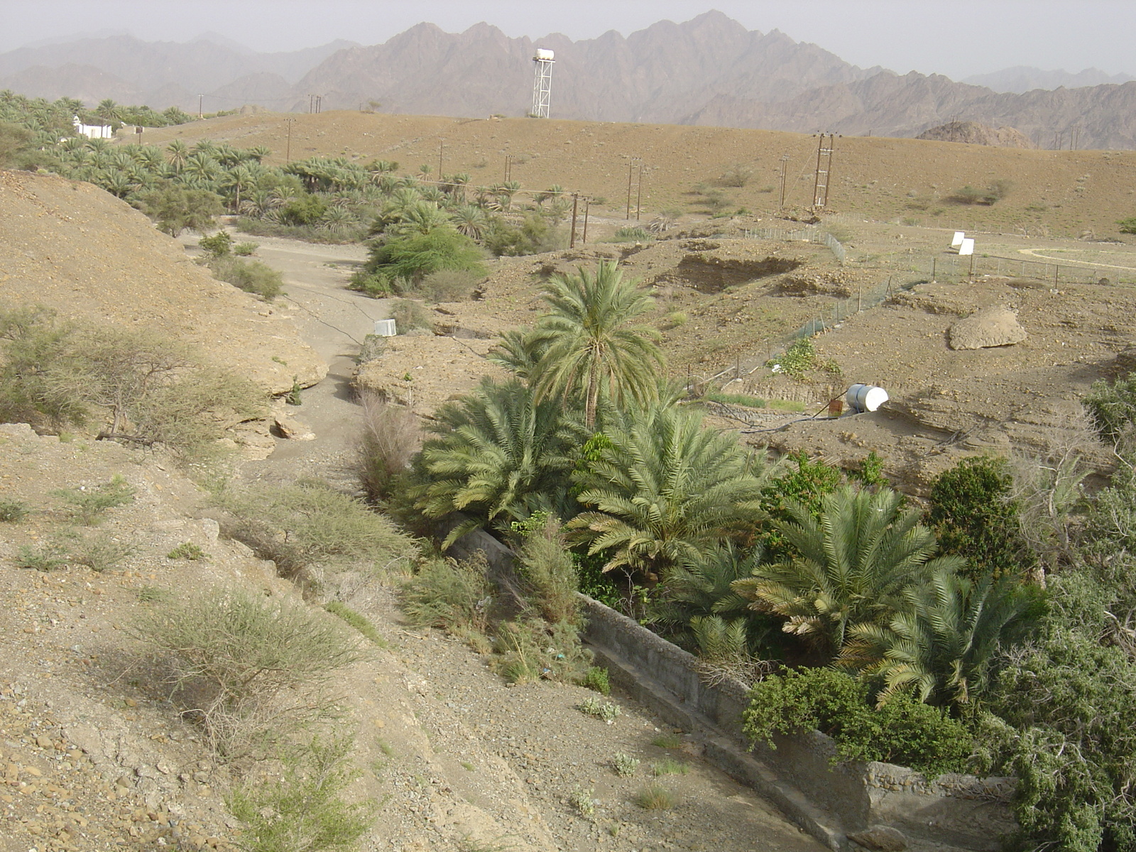 Photo Oman Route de Buraimi à Sohar 2005-03 18