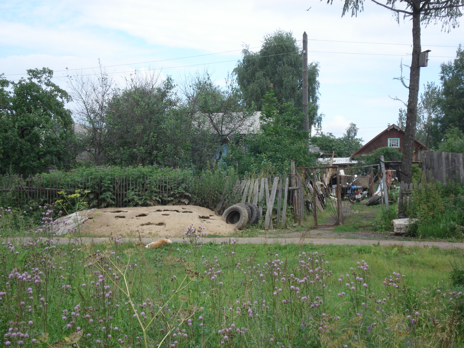 Photo Russie Rybinsk 2006-07 19