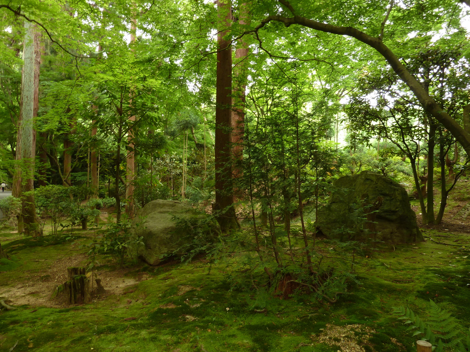Photo Japon Kyoto temple Ryoanji 2010-06 52