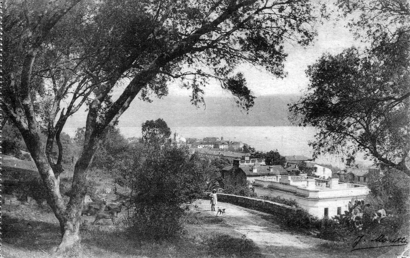 Photo France Corse Cartes postales anciennes 1900-01 291