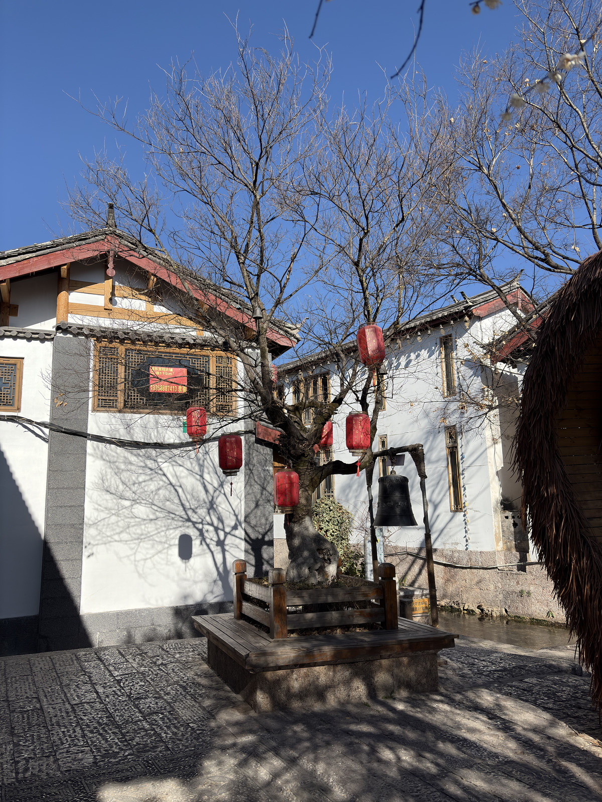 Photo Chine Lijiang 2026-01 451