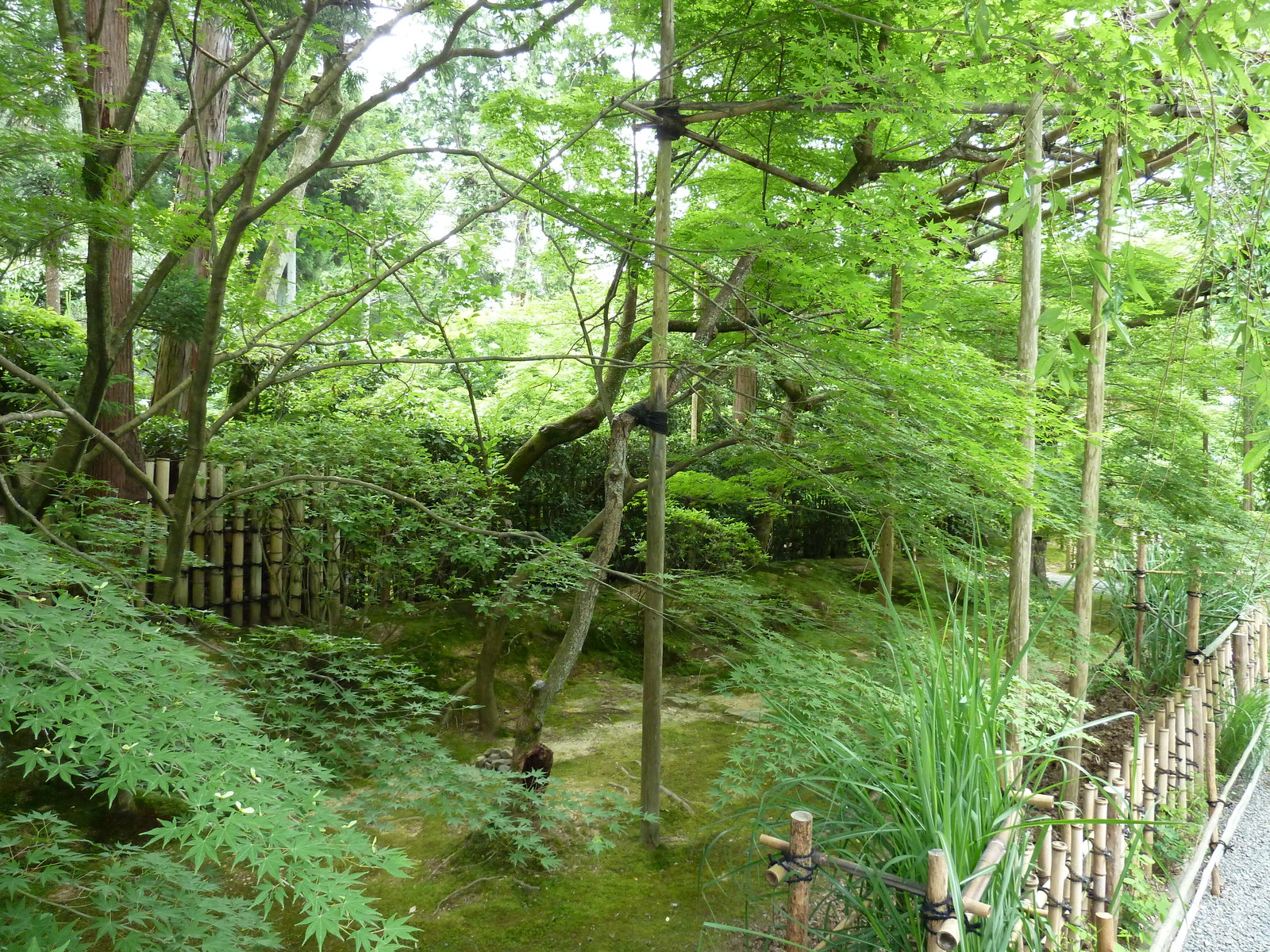 Photo Japon Kyoto temple Ryoanji 2010-06 64