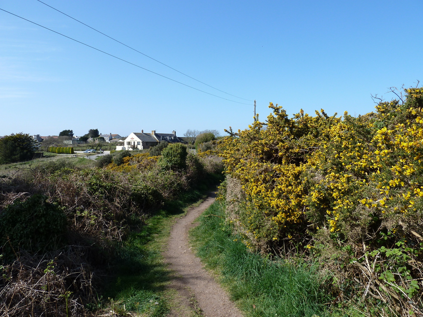 Photo Jersey 2010-04 32