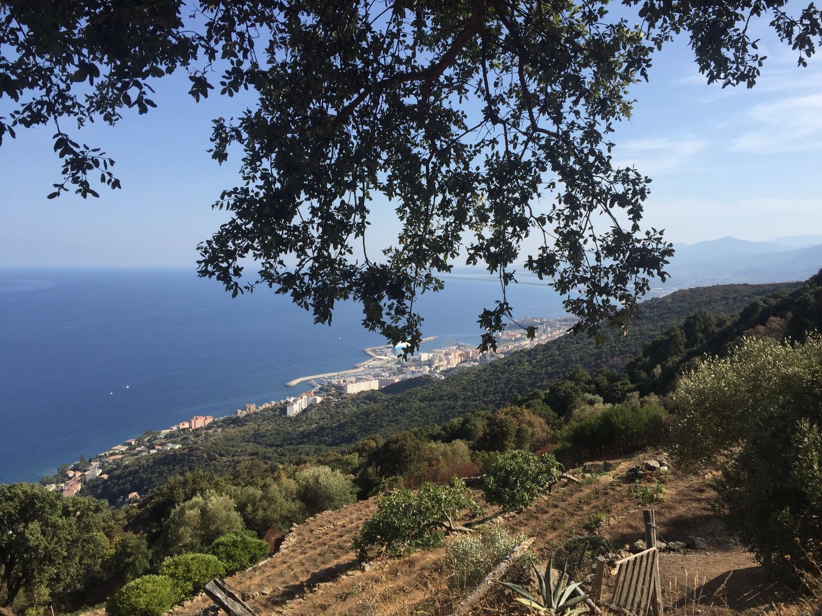 Photo France Corse San Martino di Lota 2017-09 1
