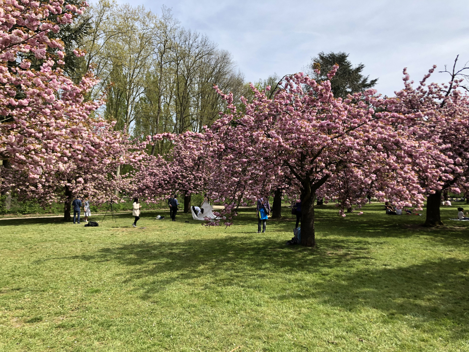 Photo France Parc de Sceaux 2019-04 10
