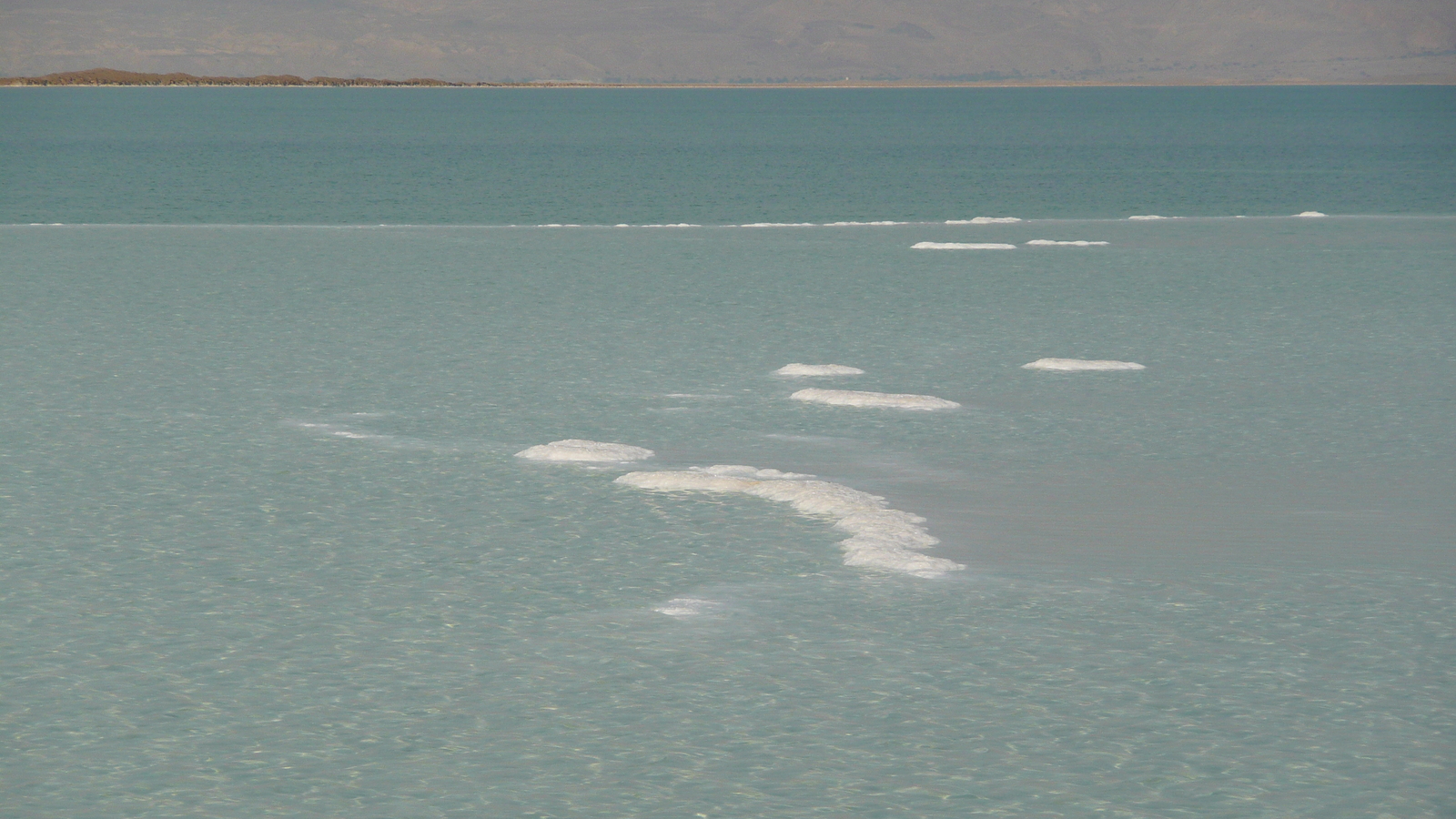 Photo Israel Boqeq 2007-06 167