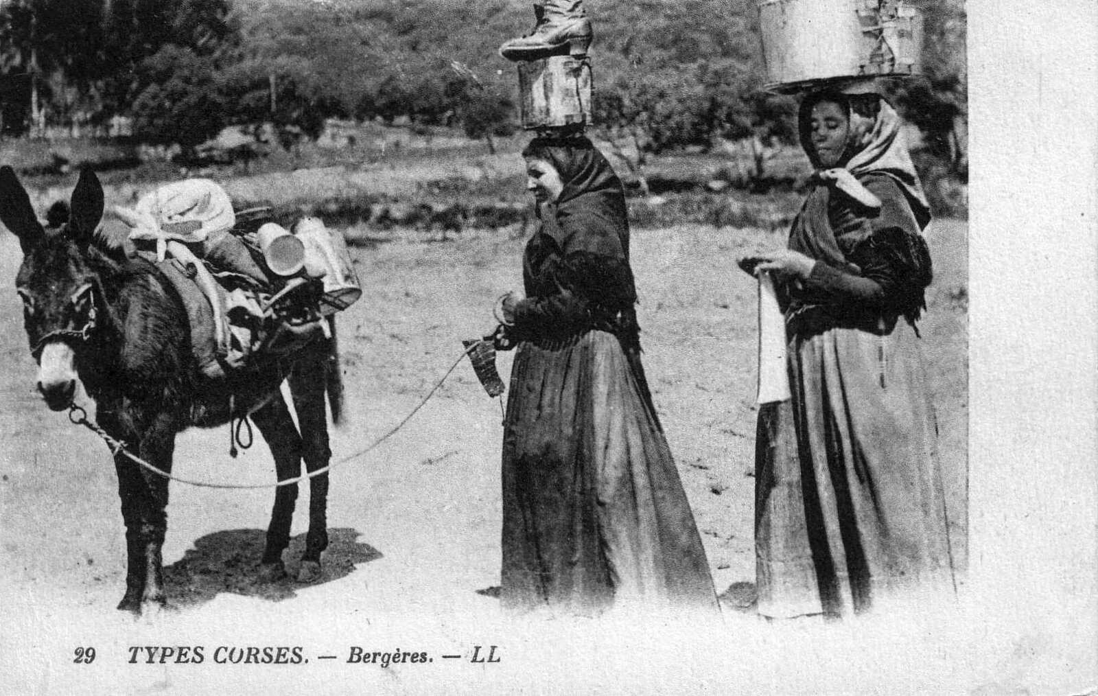 Photo France Corse Cartes postales anciennes 1900-01 295