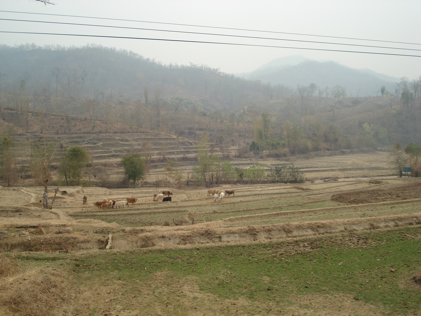 Photo Thaïlande Route de Chiang Mai à Pai 2007-02 79