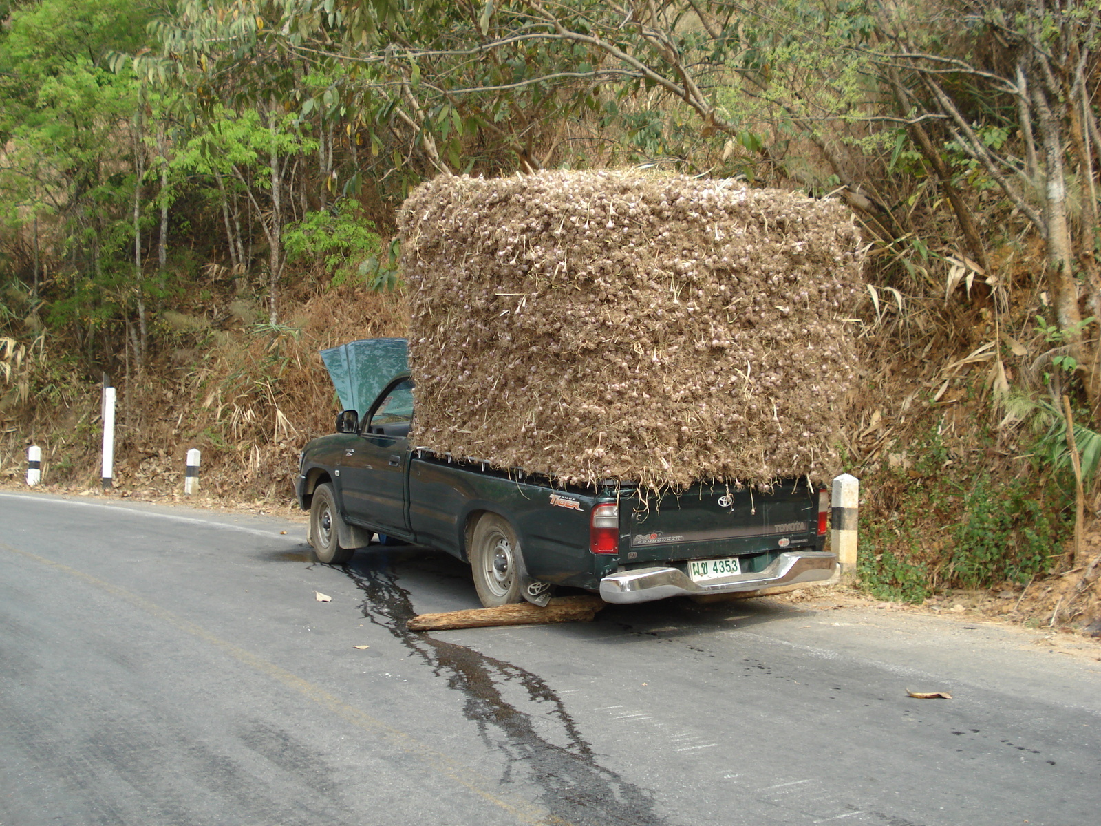 Photo Thaïlande Route de Chiang Mai à Pai 2007-02 66