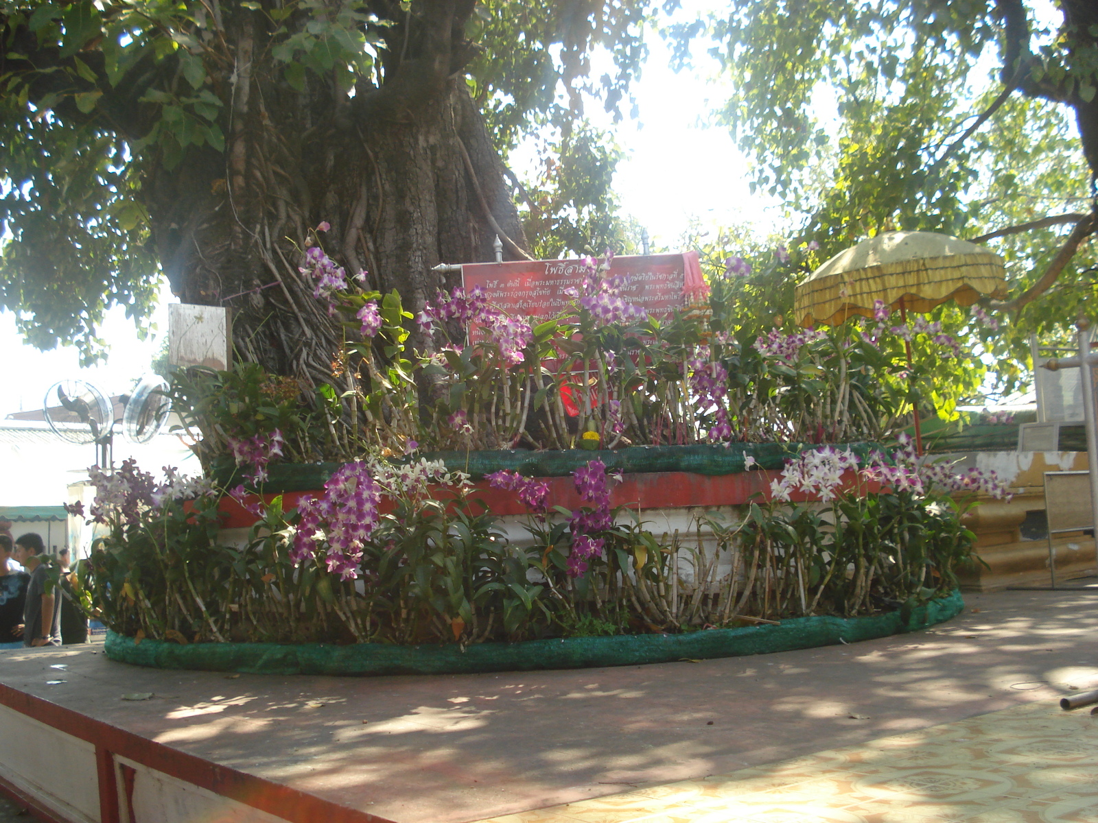 Photo Thaïlande Phitsanulok Temple Pra Sri Rattana Mahathat Vora Maha Vihar 2008-01 61