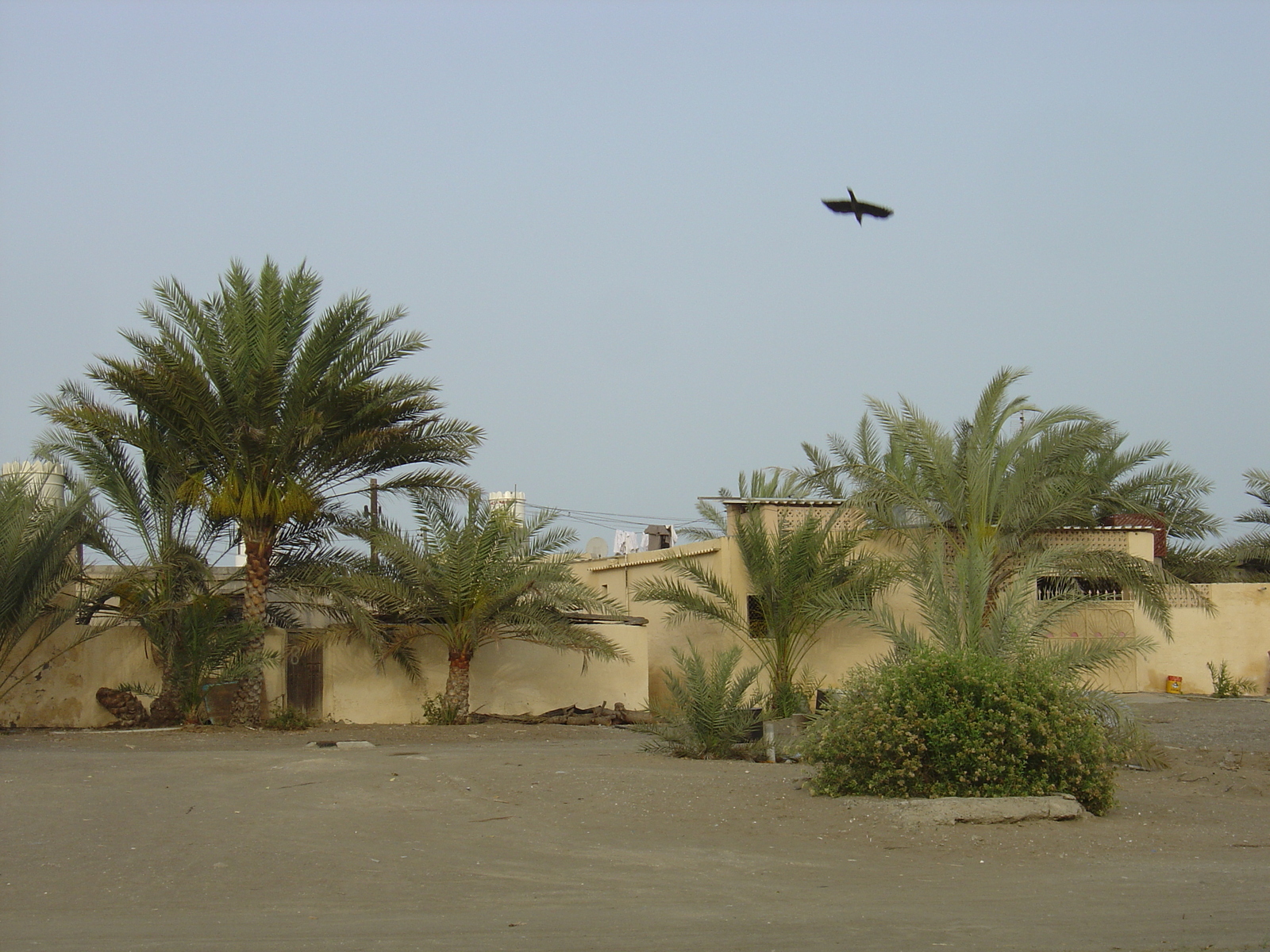 Photo Oman Sohar 2005-03 33