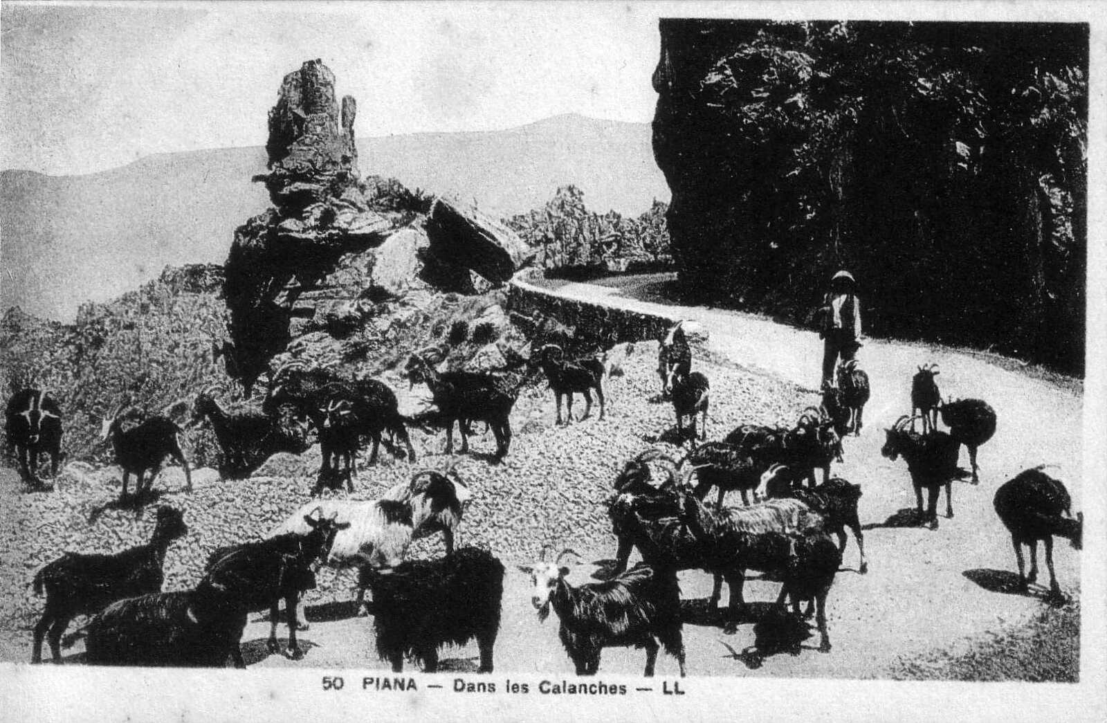 Photo France Corse Cartes postales anciennes 1900-01 175