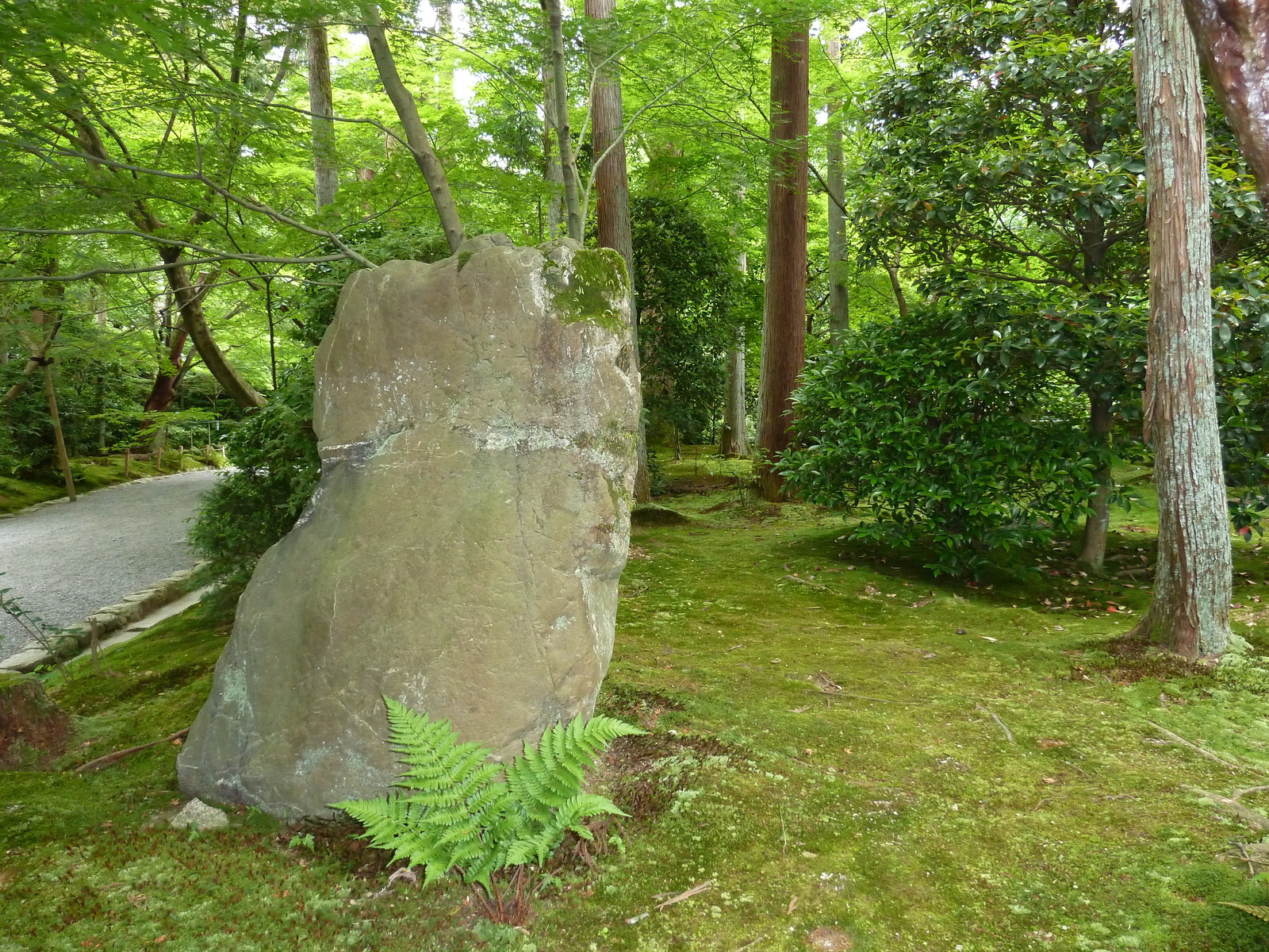 Photo Japon Kyoto temple Ryoanji 2010-06 90