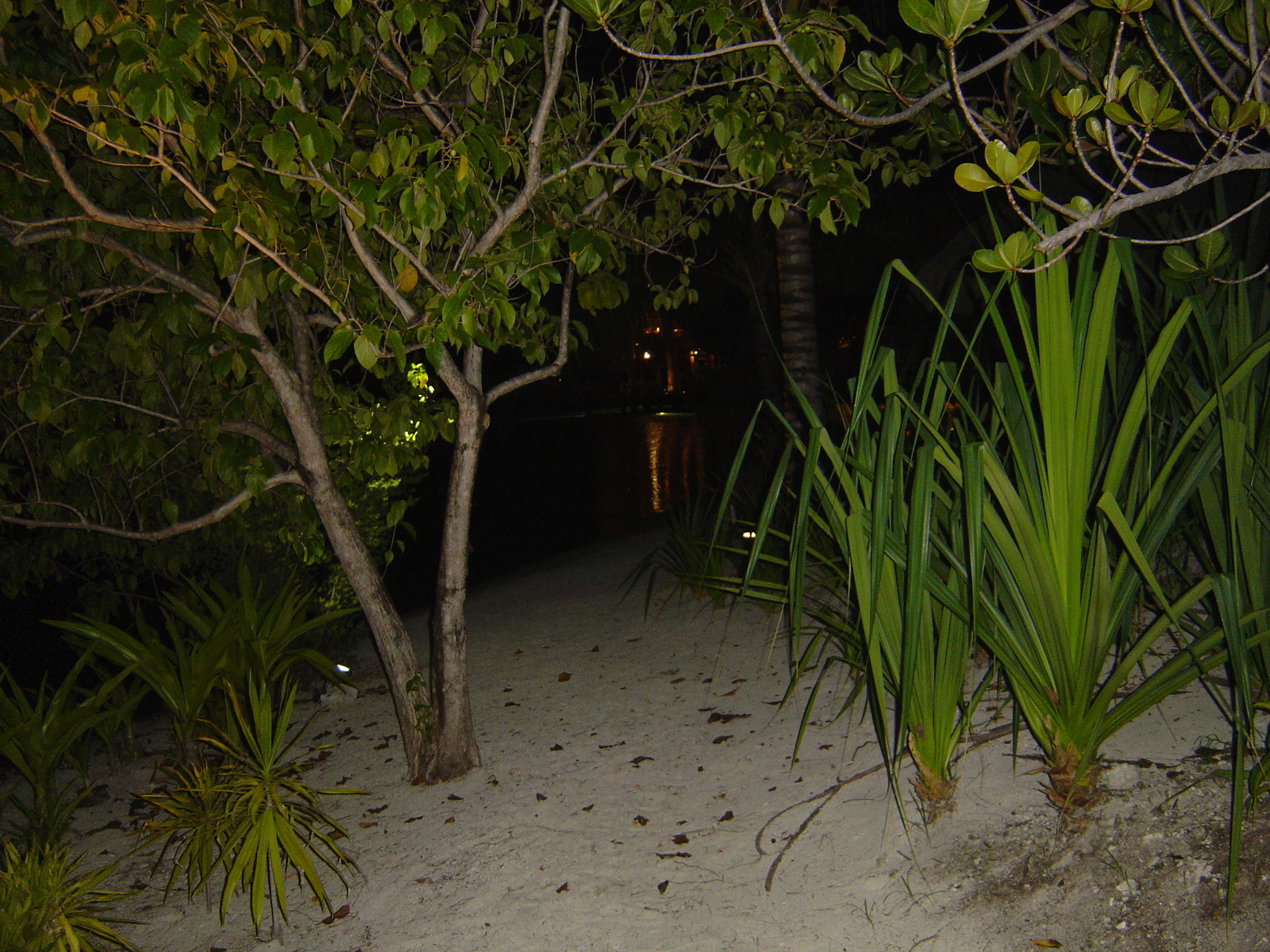 Photo Polynésie Hotel Meridien Bora Bora 2006-04 76