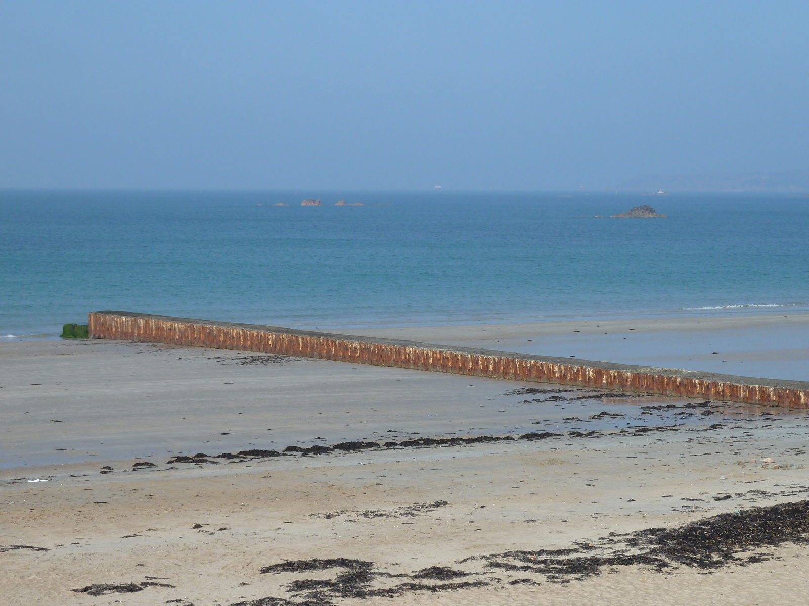 Photo Jersey 2010-04 96