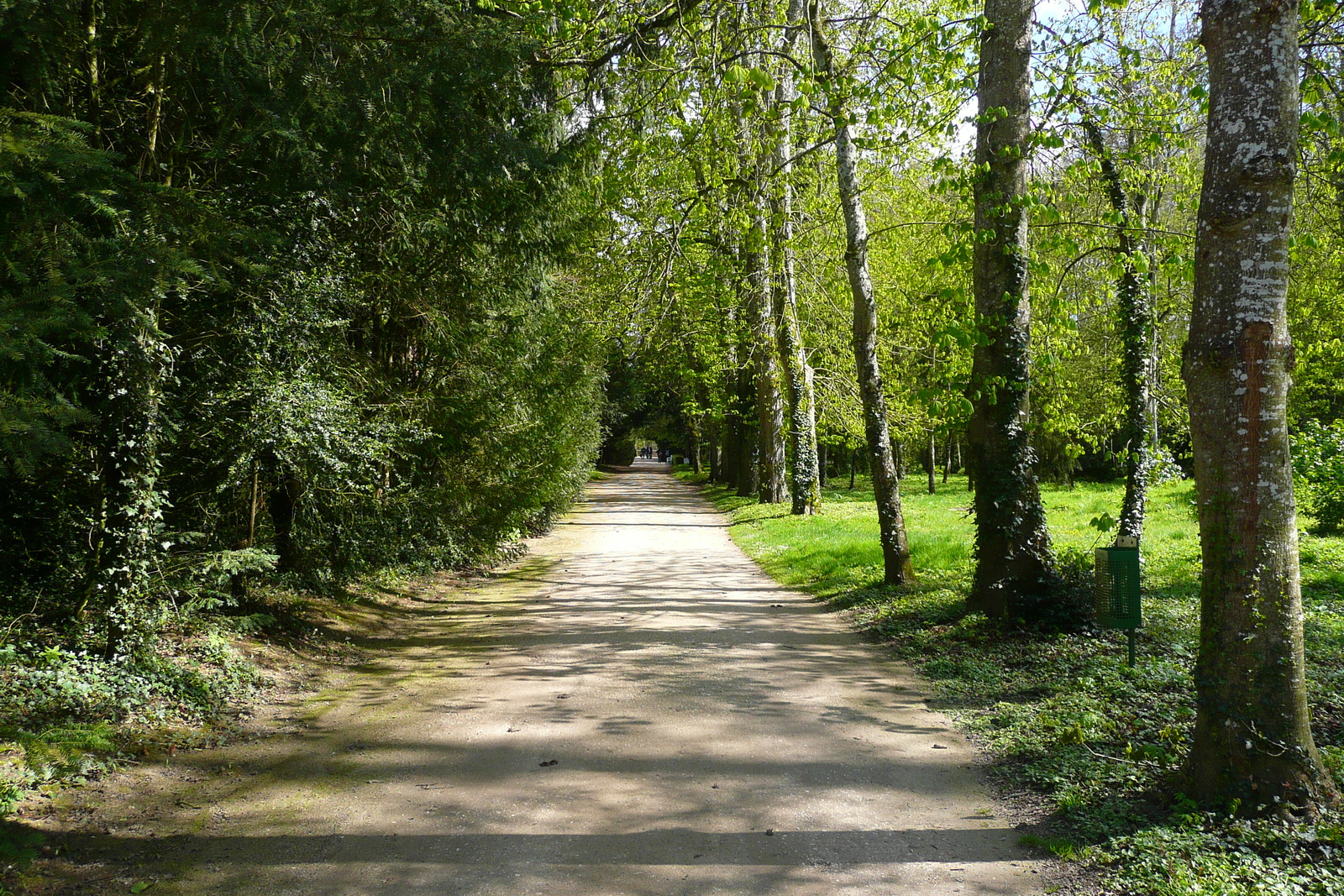 Photo France Château de Chenonceau Jardins de Chenonceau 2008-04 71