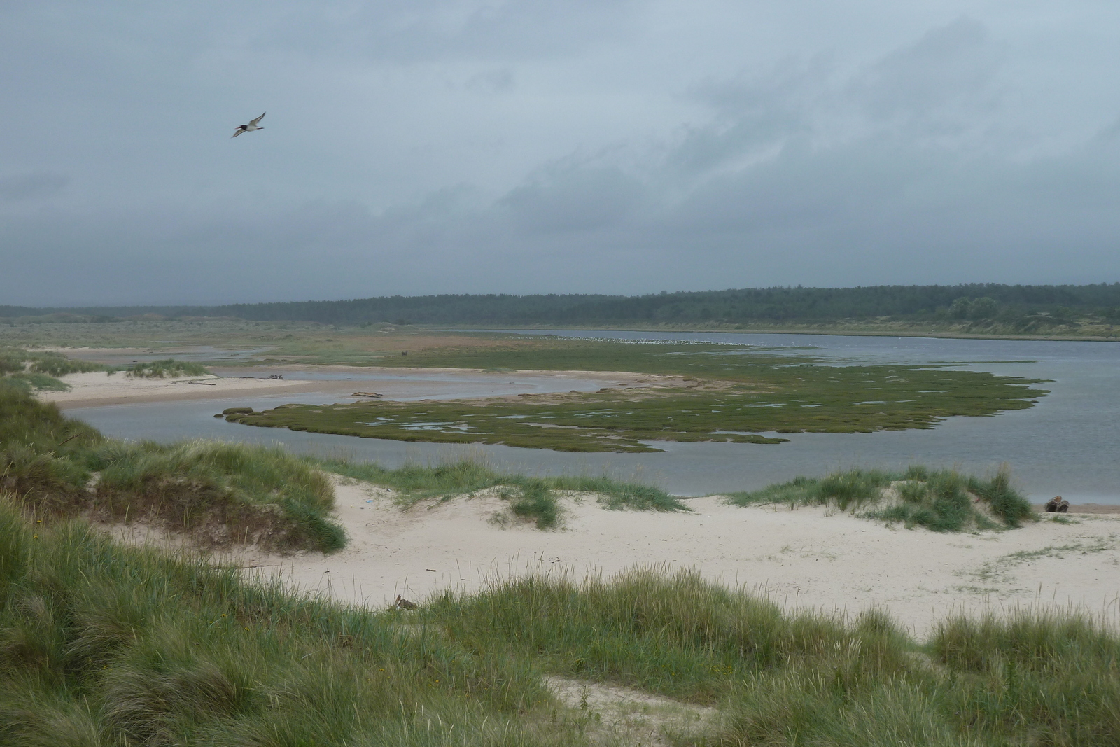 Photo Royaume-Uni Écosse Lossiemouth 2011-07 34