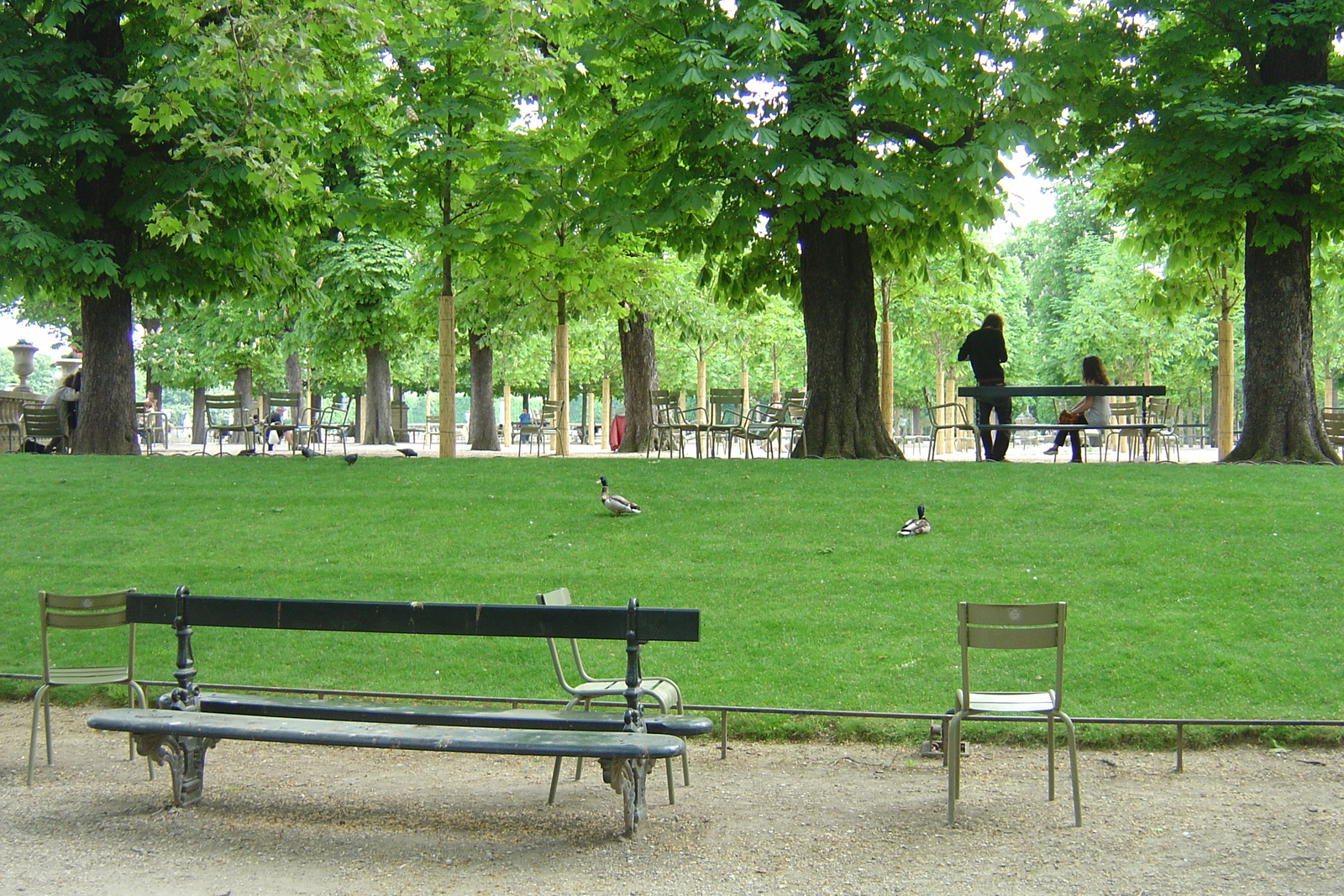 Photo France Paris Jardin du Luxembourg 2007-04 167
