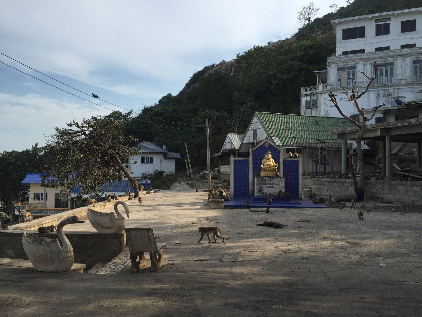 Photo Thaïlande Hua hin 2016-01 15