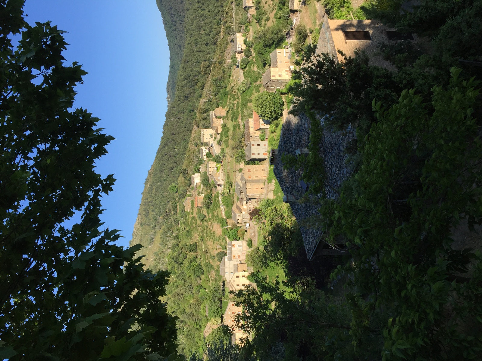 Photo France Corse Castagniccia 2015-05 2
